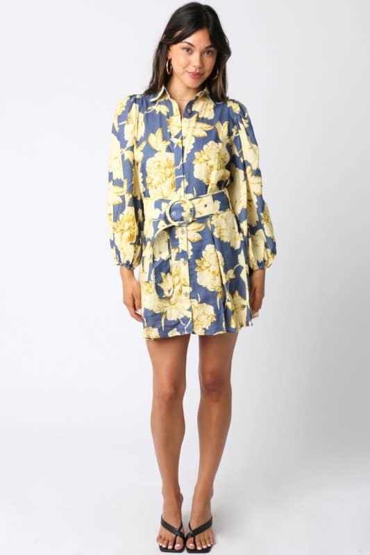 Eve Floral Belted Dress: Denim Gold / S