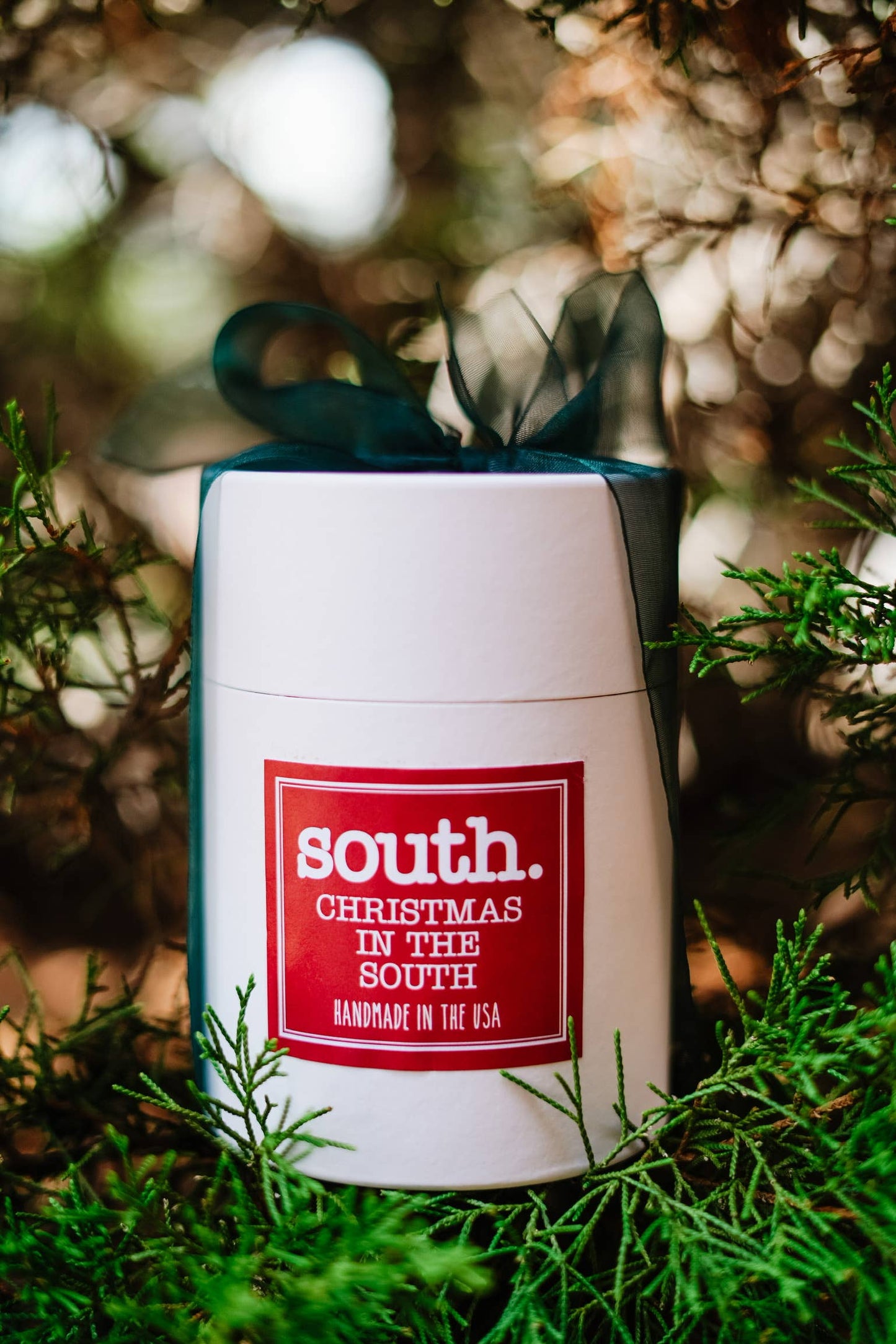 Christmas in the South: Mini