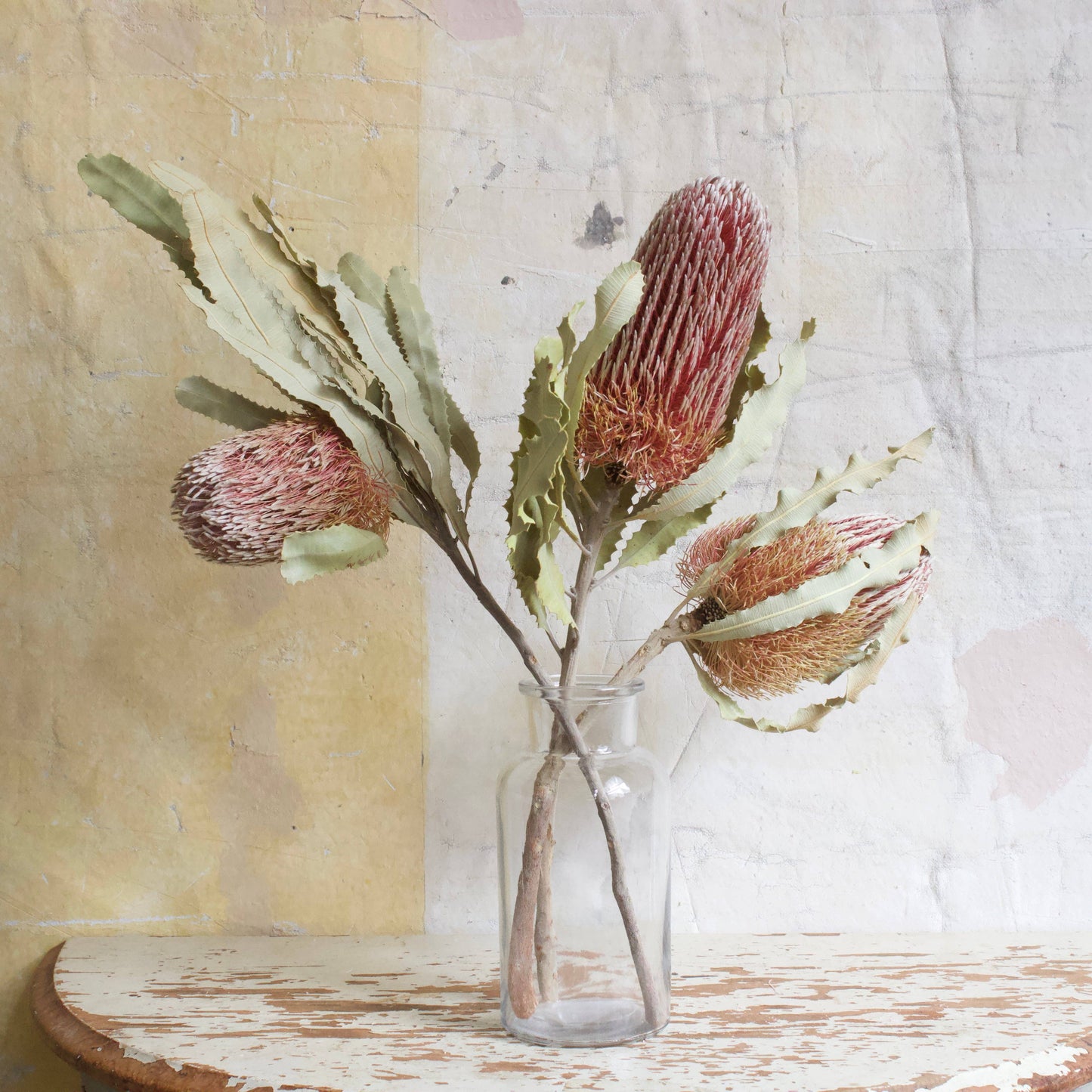 Banksia - Menziesii: 3 stems / Natural